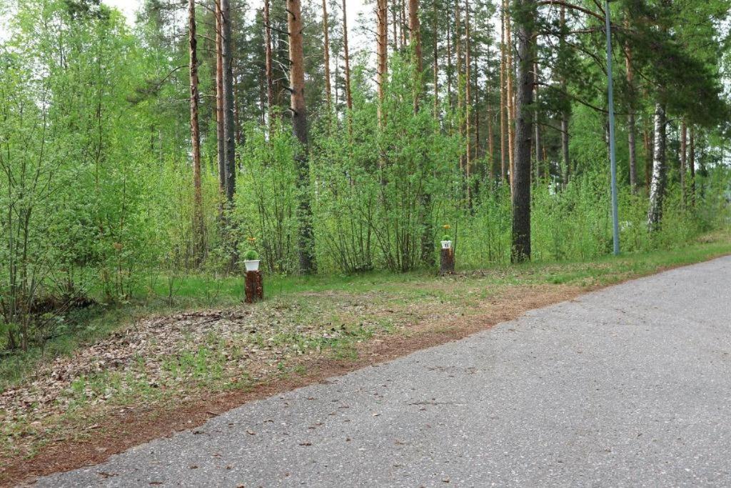 Kuivaketveleen Piha Лапеенранта Екстериор снимка